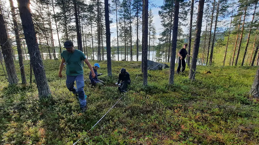 Photo of field work in a forest in Lapland.