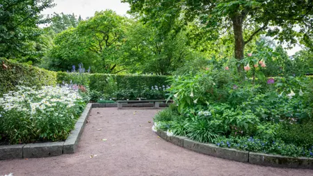 I framkant av fotot ses en rund rabatt med perenner och lökväxter. Bakom den finns två rektangulära rabatter i vinkel. Rabatterna omges av en bokhäck och allra längst fram i fotot syns en grusgång.