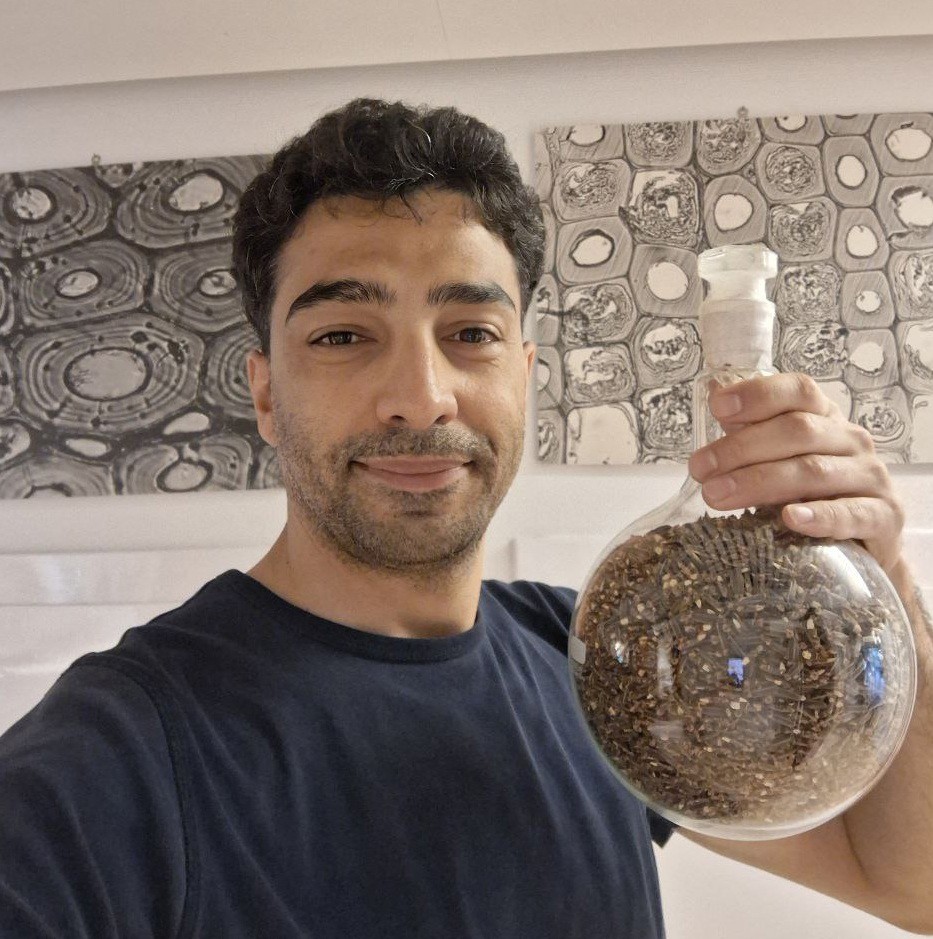 Portrait photo of Sajjad Ghodrati