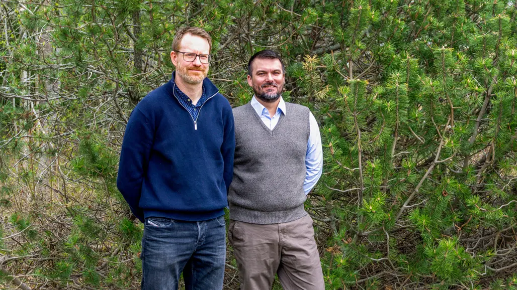 Two men are standing with the arms crossed behind the back in front of a green bush