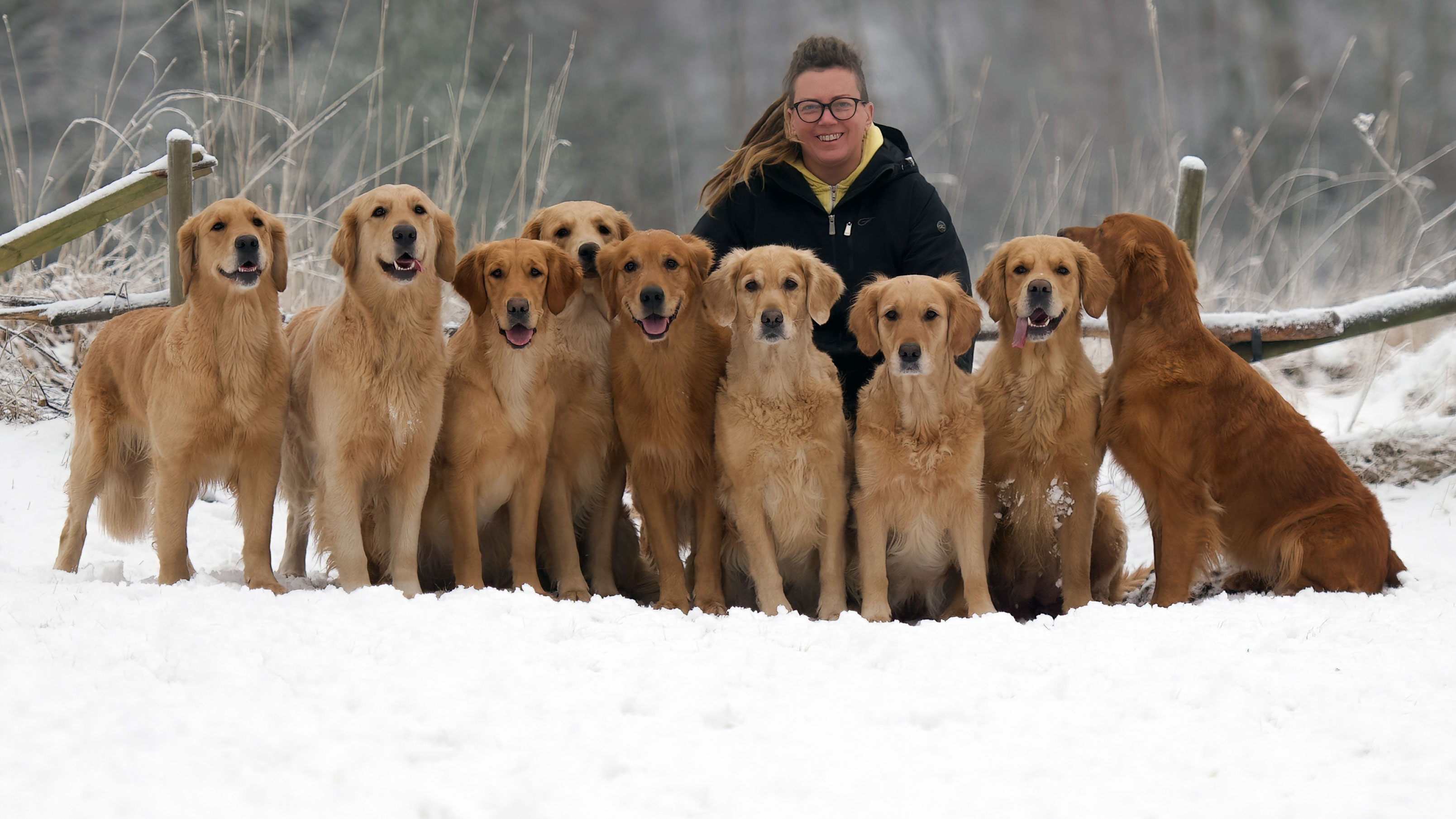 En kvinna knäböjer mitt i en flock av hundar som ställt upp sig på runt henne.