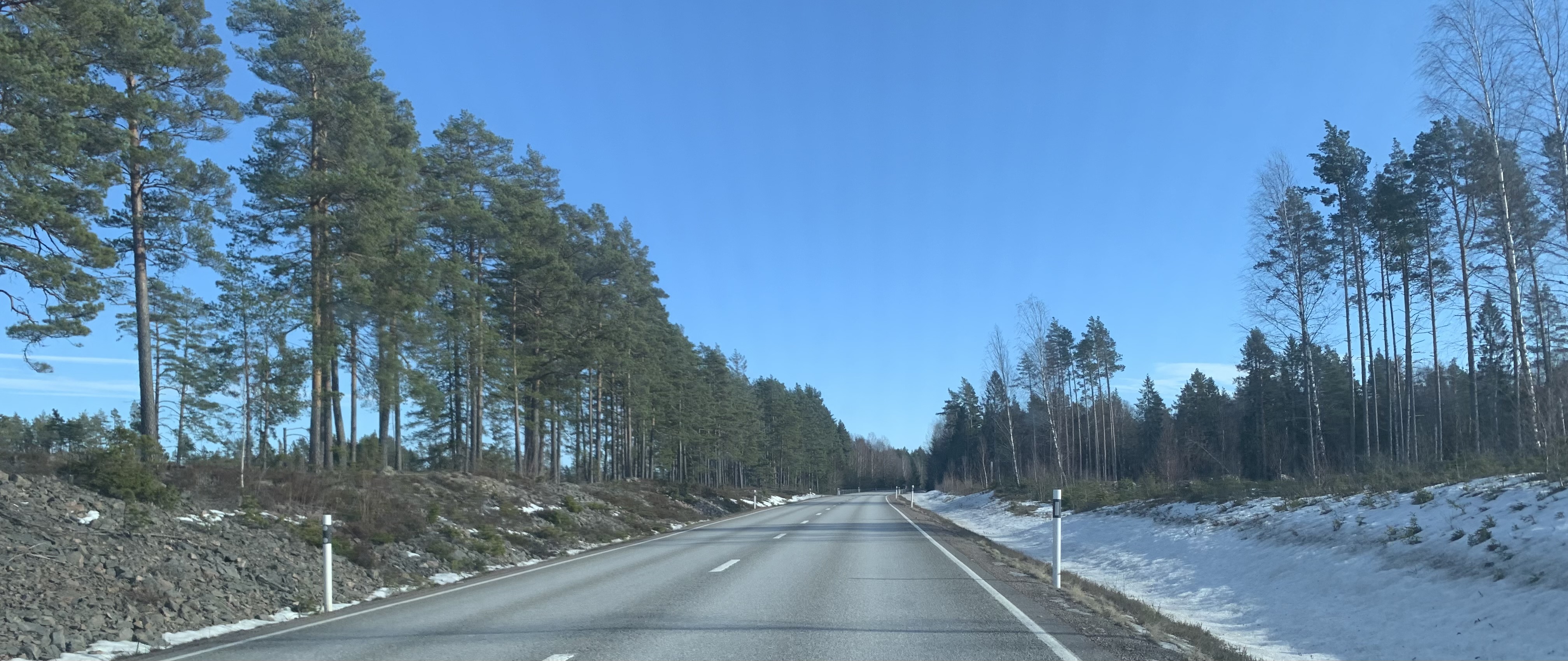 Picture of a road in central Sweden depicting variation in microclimate visible along each roadside