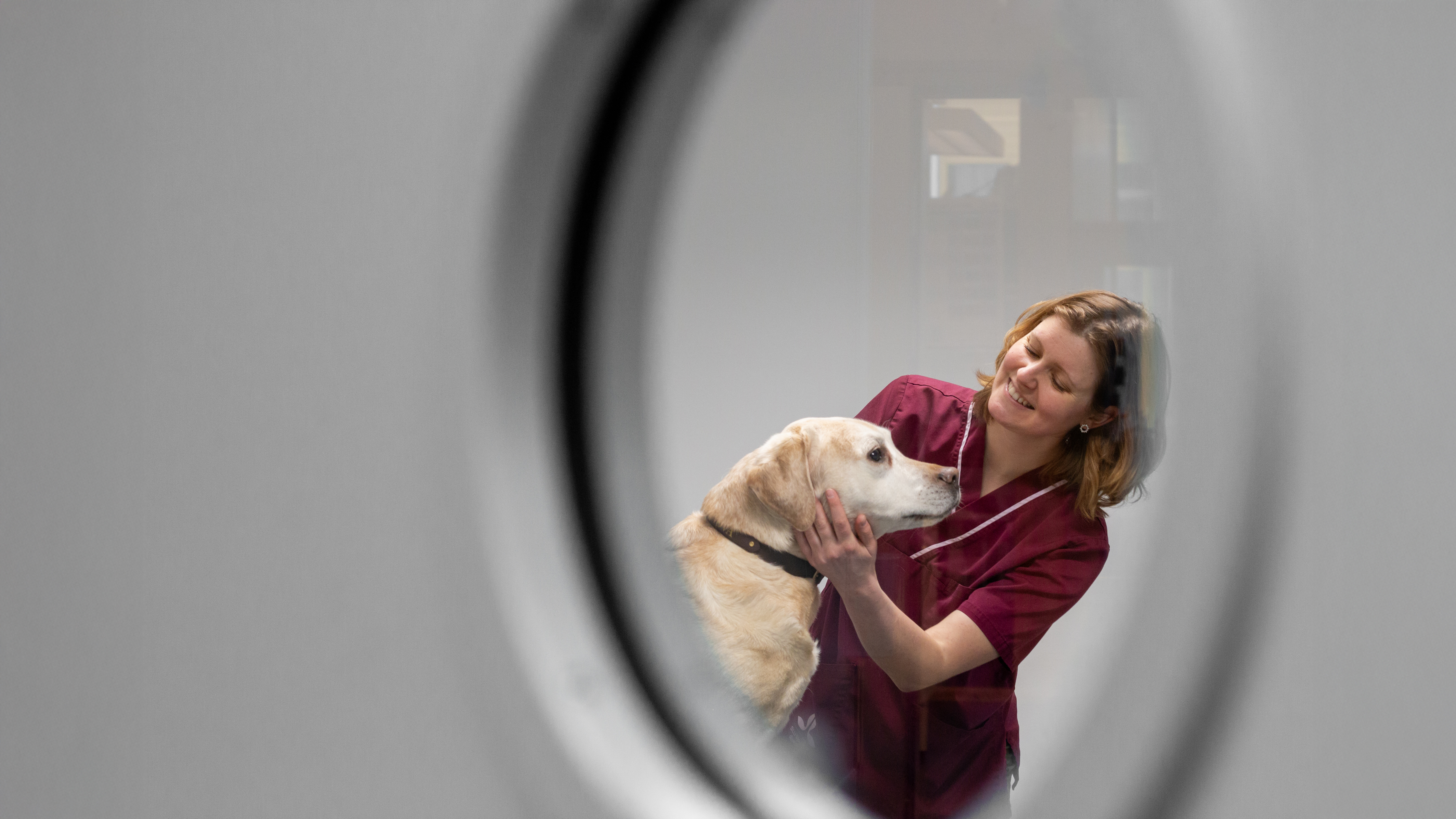 Foto av en kvinnlig veterinär (Mia Hedlund, SLU) på klinik med en ljus hund av rasen labrador.