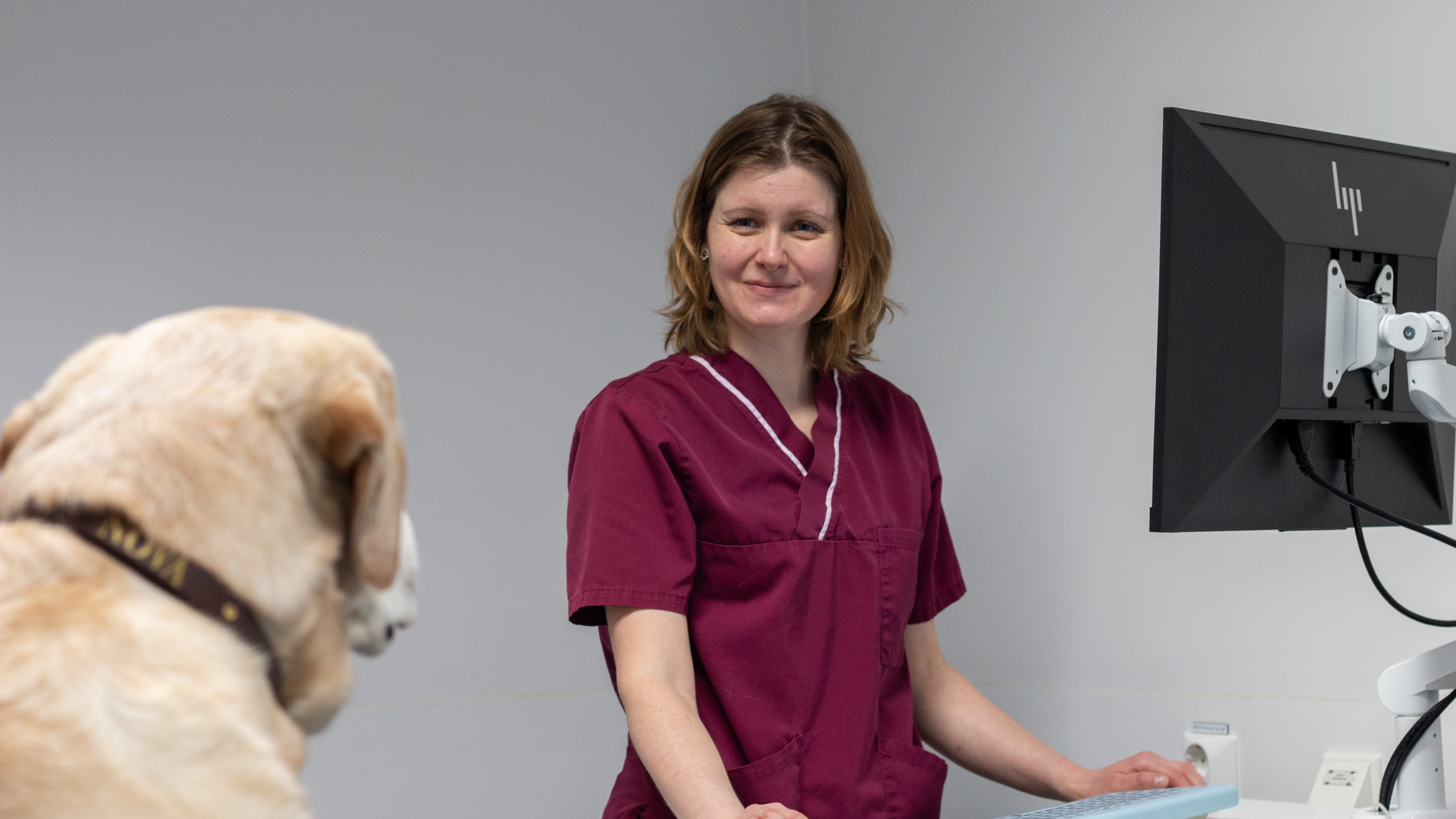Foto av en kvinnlig veterinär (Mia Hedlund, SLU) på klinik med en ljus hund av rasen labrador.