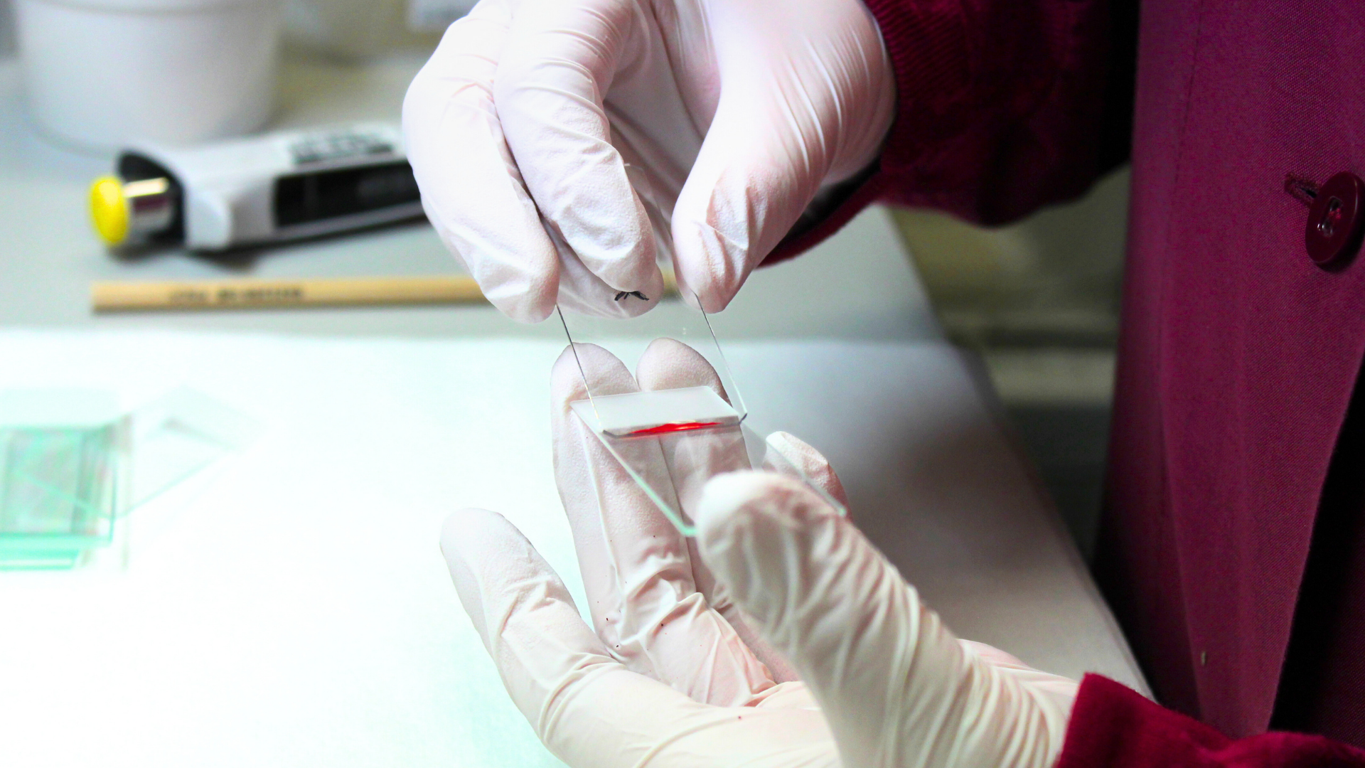  Close-up of a person's hands wearing white gloves. The person is holding a glass plate with a red liquid in the center of the glass
