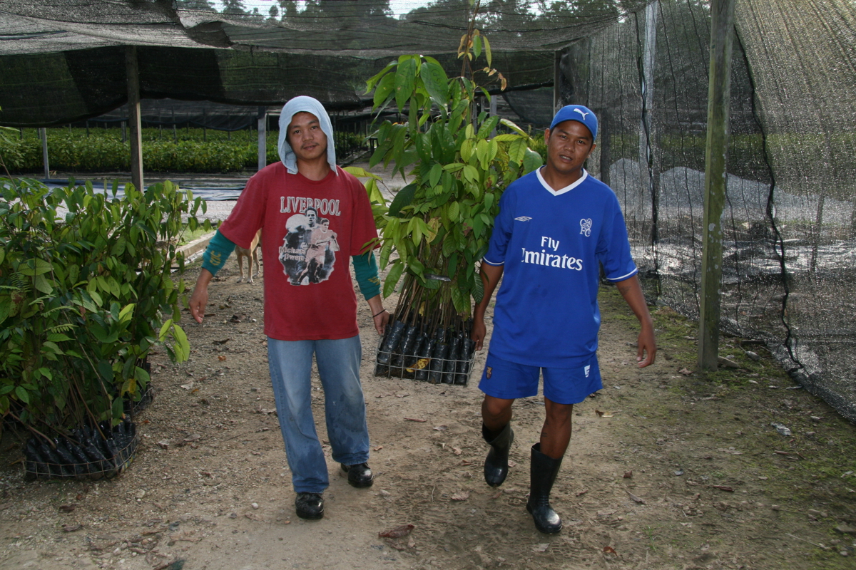 Two med with rainforest plants