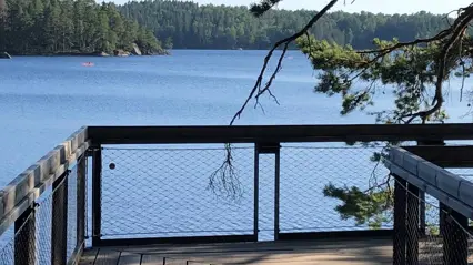 A wooden platform by a lake