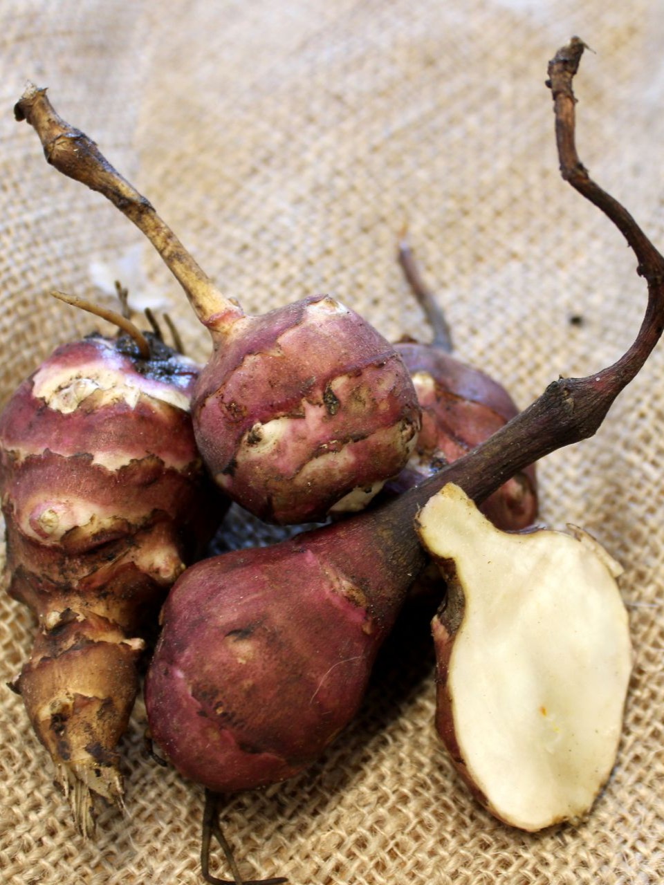 Jordärtskockor ligger på juteväv. 