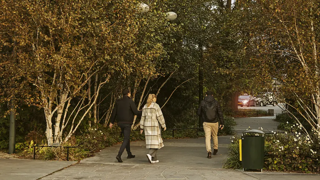 Photo of trees in an urban environment.