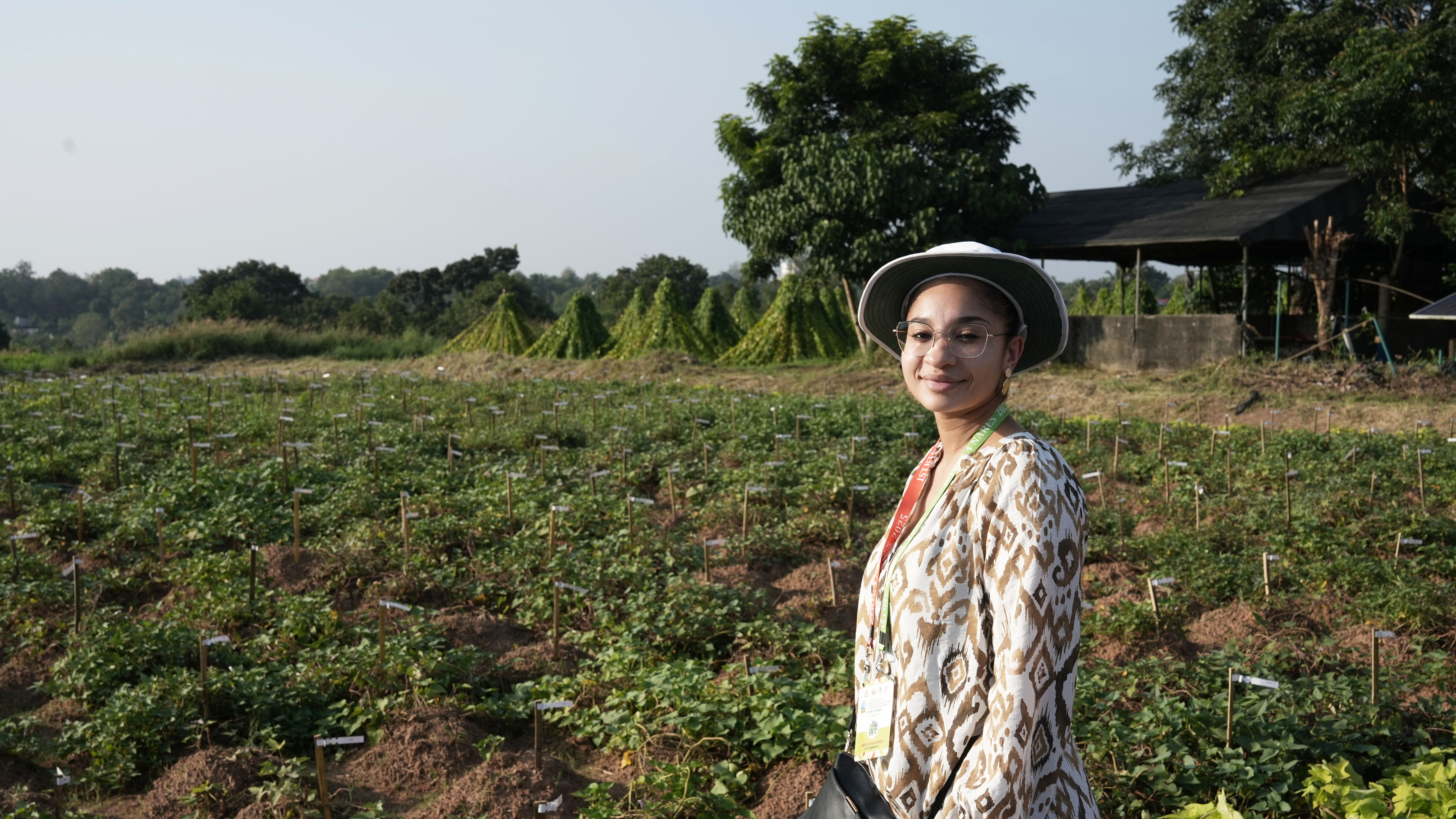 A woman in a cassava field. Photo.
