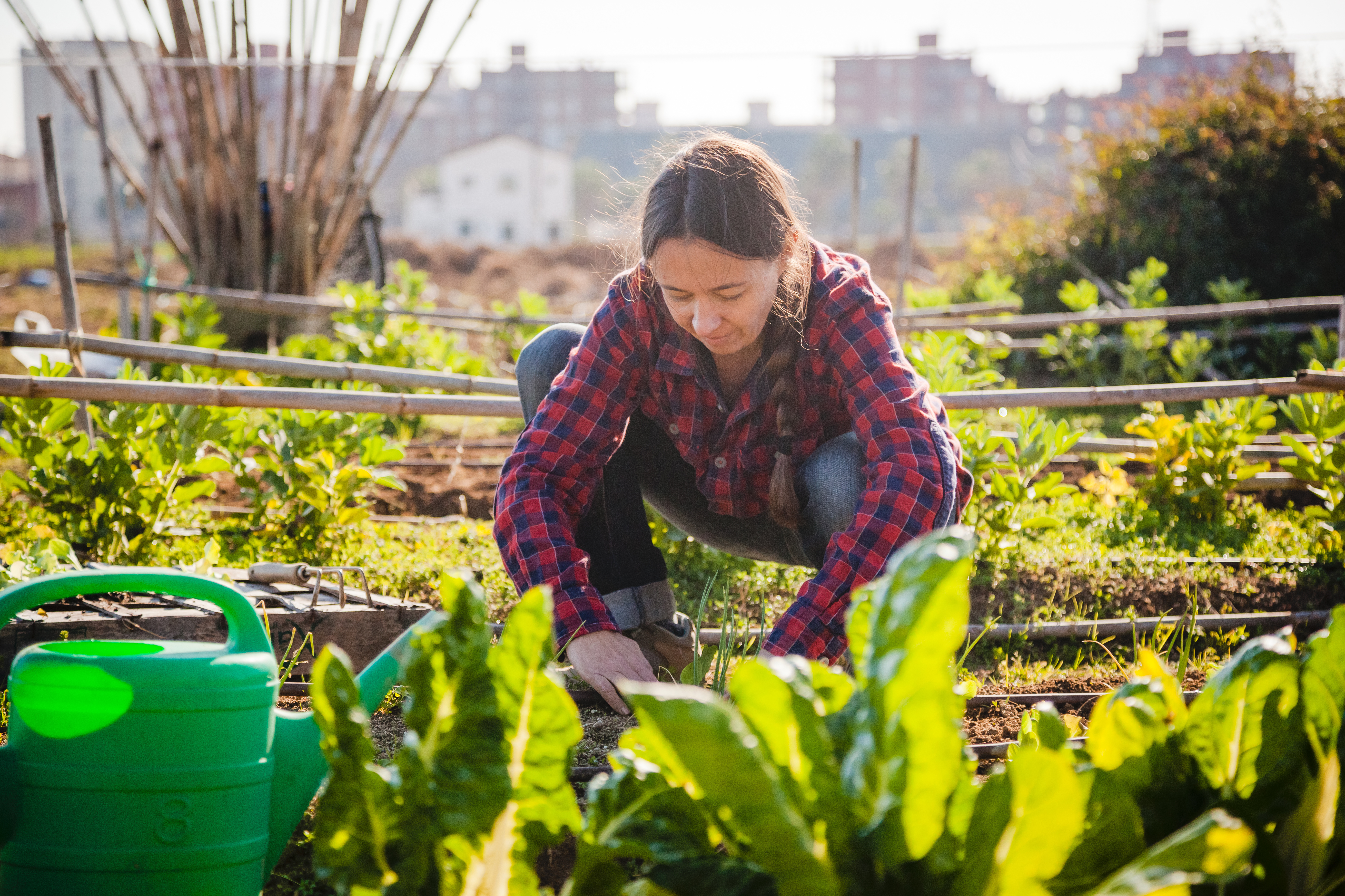 Ung kvinna som arbetar i en stadsodling.