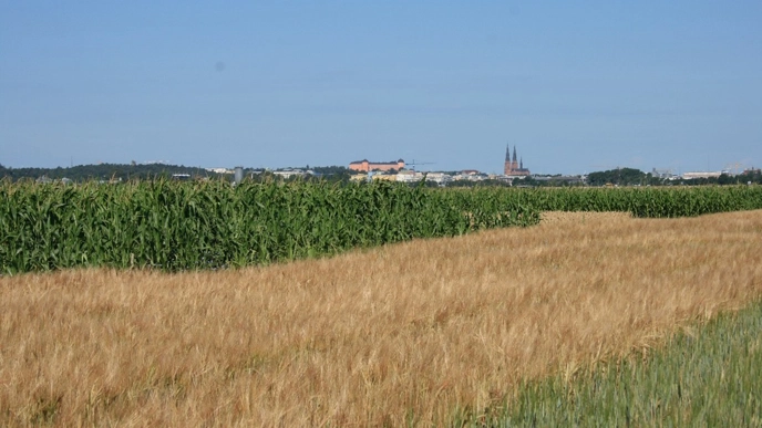 Fields with the city in the background.