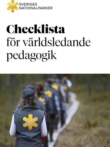 Framsida på ett dokument om världsledande pedagogik