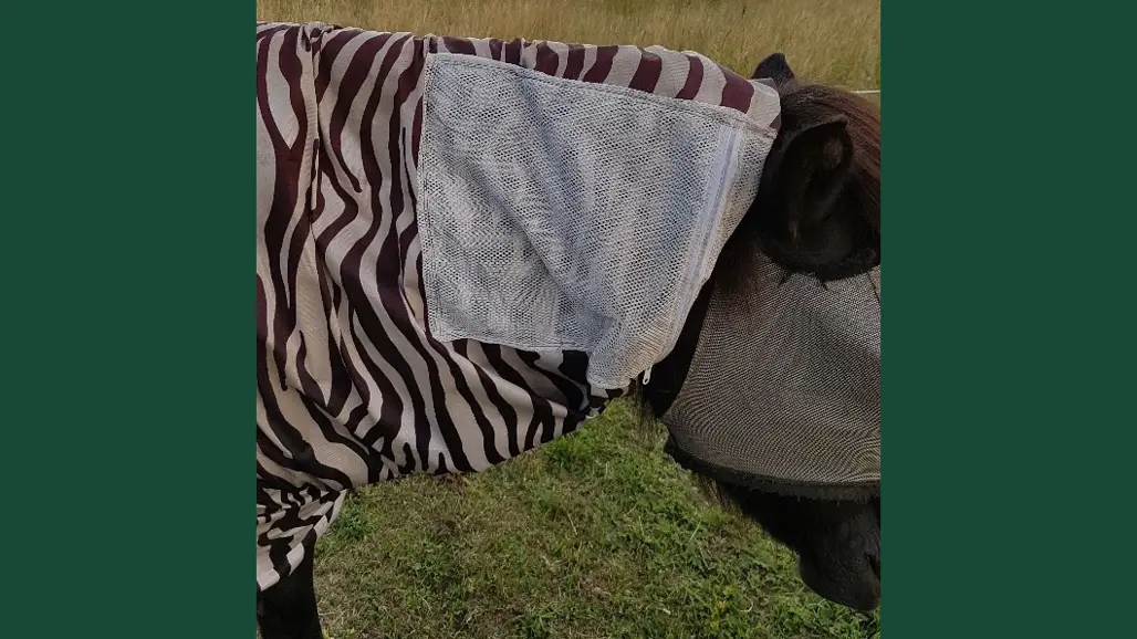 Foto av det insektsrepellerande doftämne som placerades i påsar på hästarnas täcken.