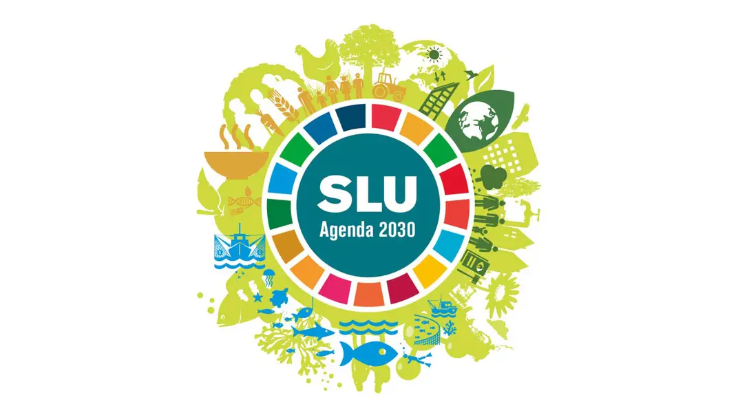 A circle with illustrations in various colours symbolising SLU’s activities frames the text 'SLU Agenda 2030'