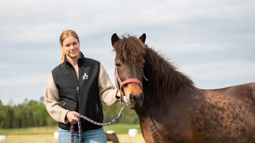 Portrait of Denise Söderroos with Icelandic horse in a summery setting.