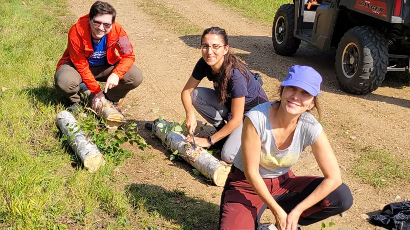 tre personer karvar i en stock