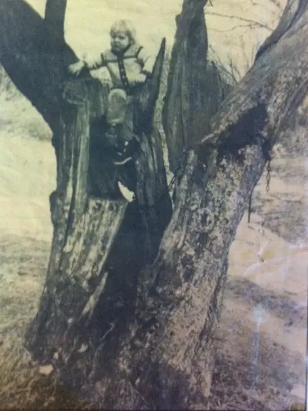 Ett svartvitt foto visar två barn som leker i och på ett gammalt päronträd. Fotot är taget på 1970-eller 1980-talet.