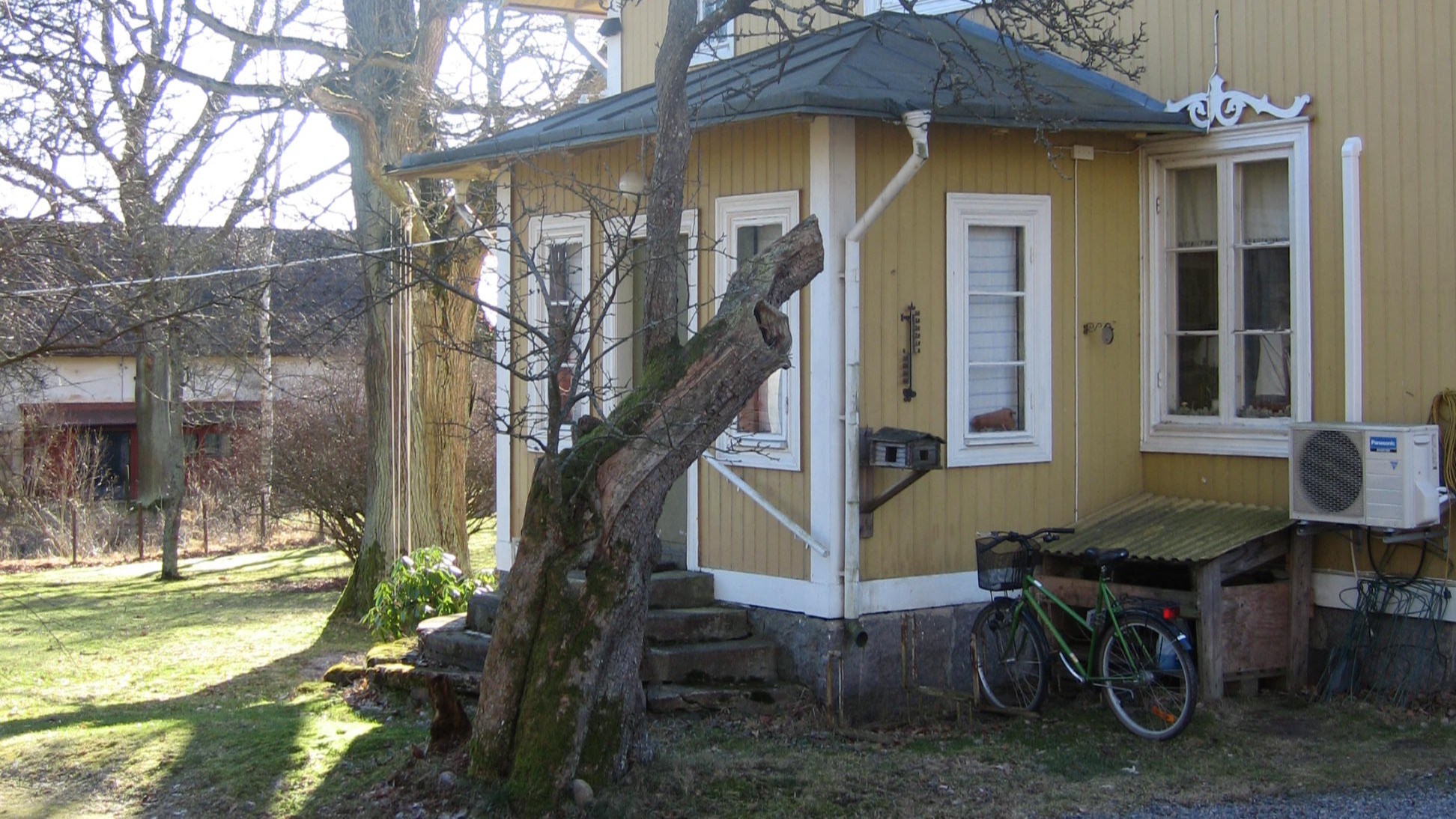 Ett gammalt päronträd står vid entrén till ett gult trähus. 