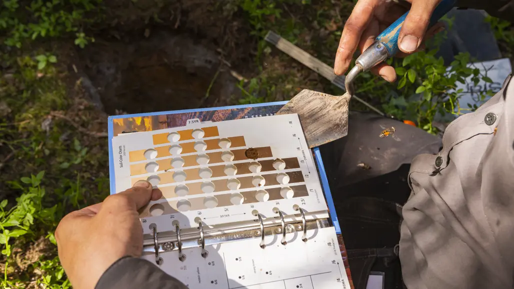 Johannes klassificerar ett jordprov med hjälp av en färgkarta.