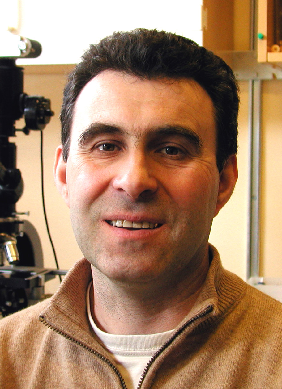 Porträttfoto av Nasko Terziev