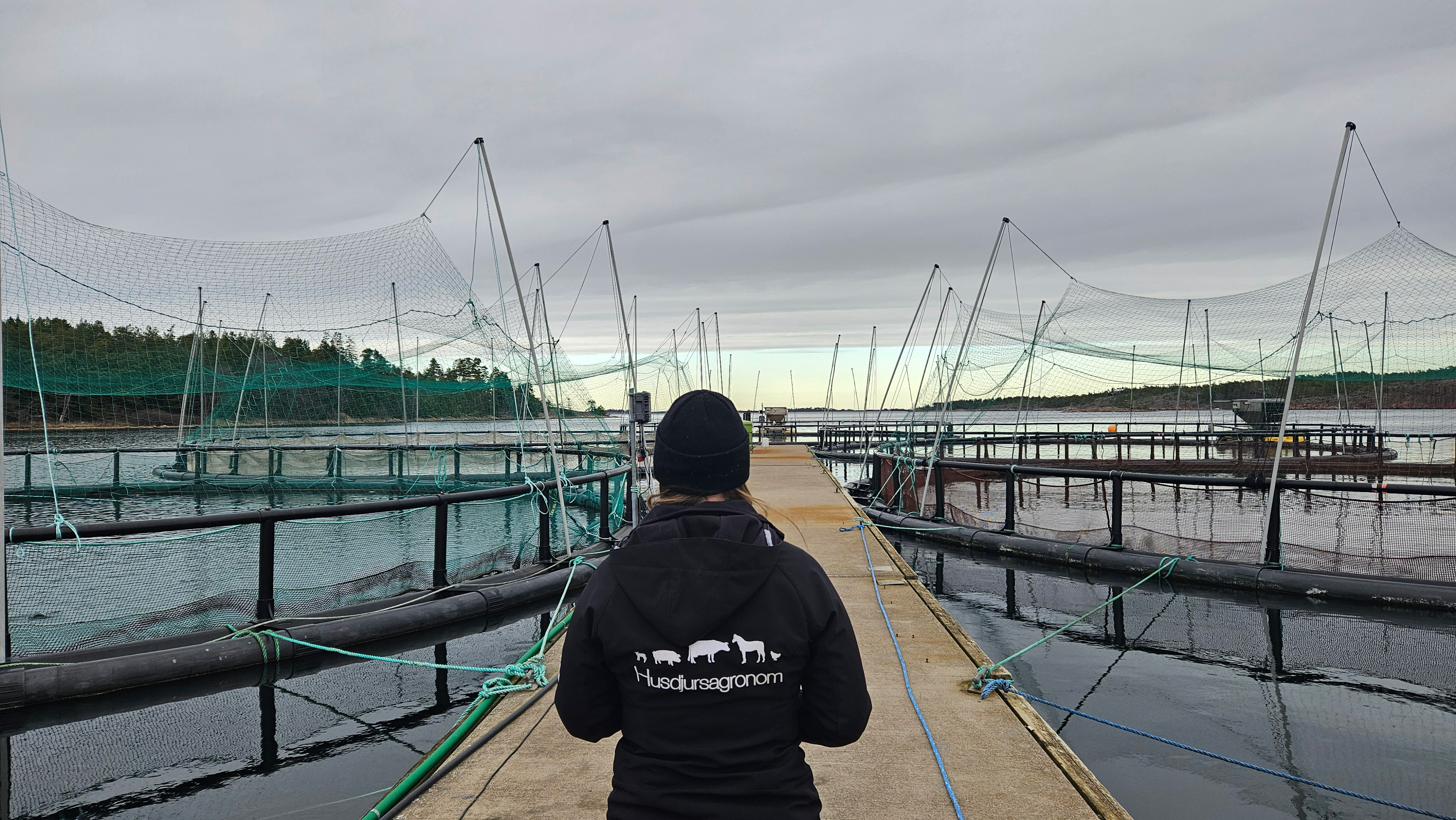 A person wearing a black jacket and a hat is standing on a dock with his back to the camera; next to him are several fish-farming baskets.