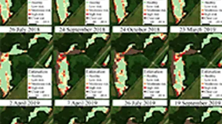 Exempel på karta med uppskattningar av angrepp. Bild.