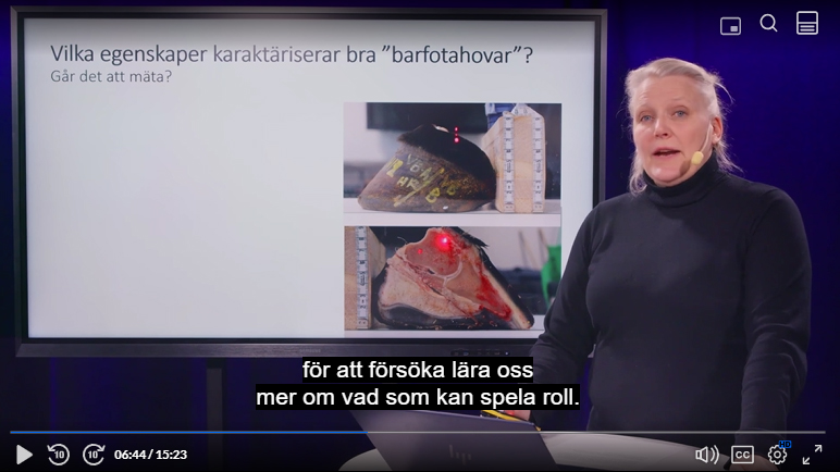 Skärmbild av en kvinna (Anna Jansson, SLU) som föreläser om hästar i en studio inomhus.