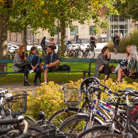 Students in campus Alnarp