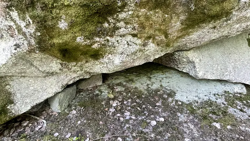 Närbild av en mossbeklädd klippformation. Bilden visar en stor sten med gröna mossfläckar på ytan. Under stenen finns ett öppet utrymme som liknar en liten grotta eller spricka. Marken är täckt av småsten, löv och fler mossfläckar. Foto.