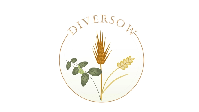 Logotyp för Diversow
