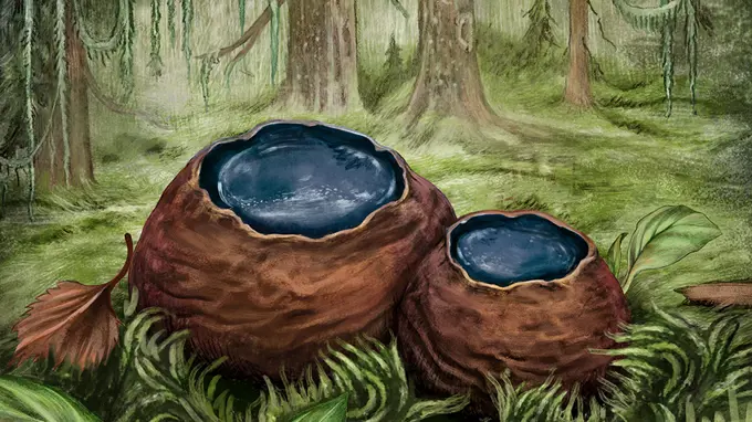 Två klotrunda bombmurklor i grön skog. Illustration