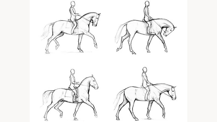 Skisser av hästar med ryttare mot vit bakgrund.