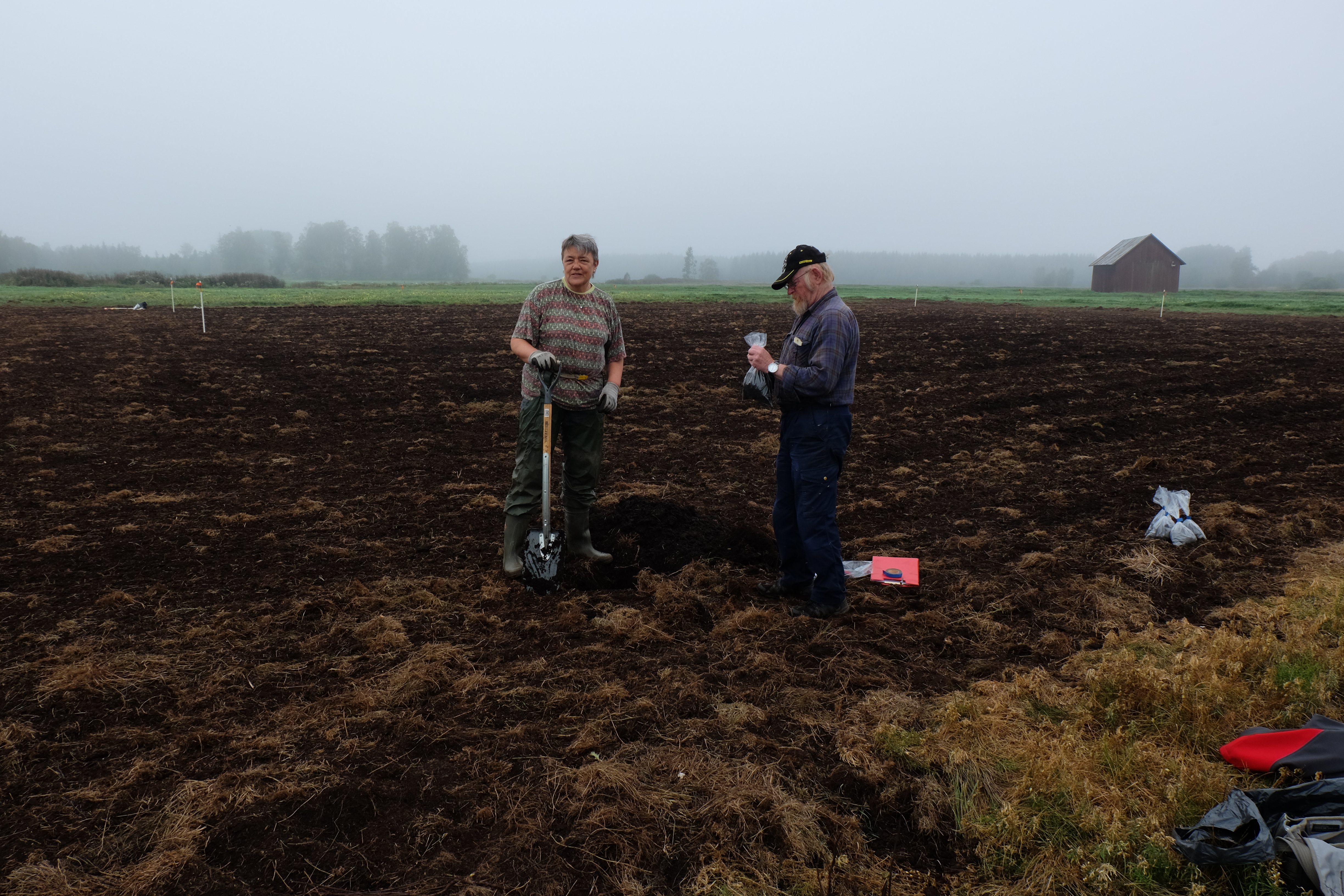 Broddob fältförsök