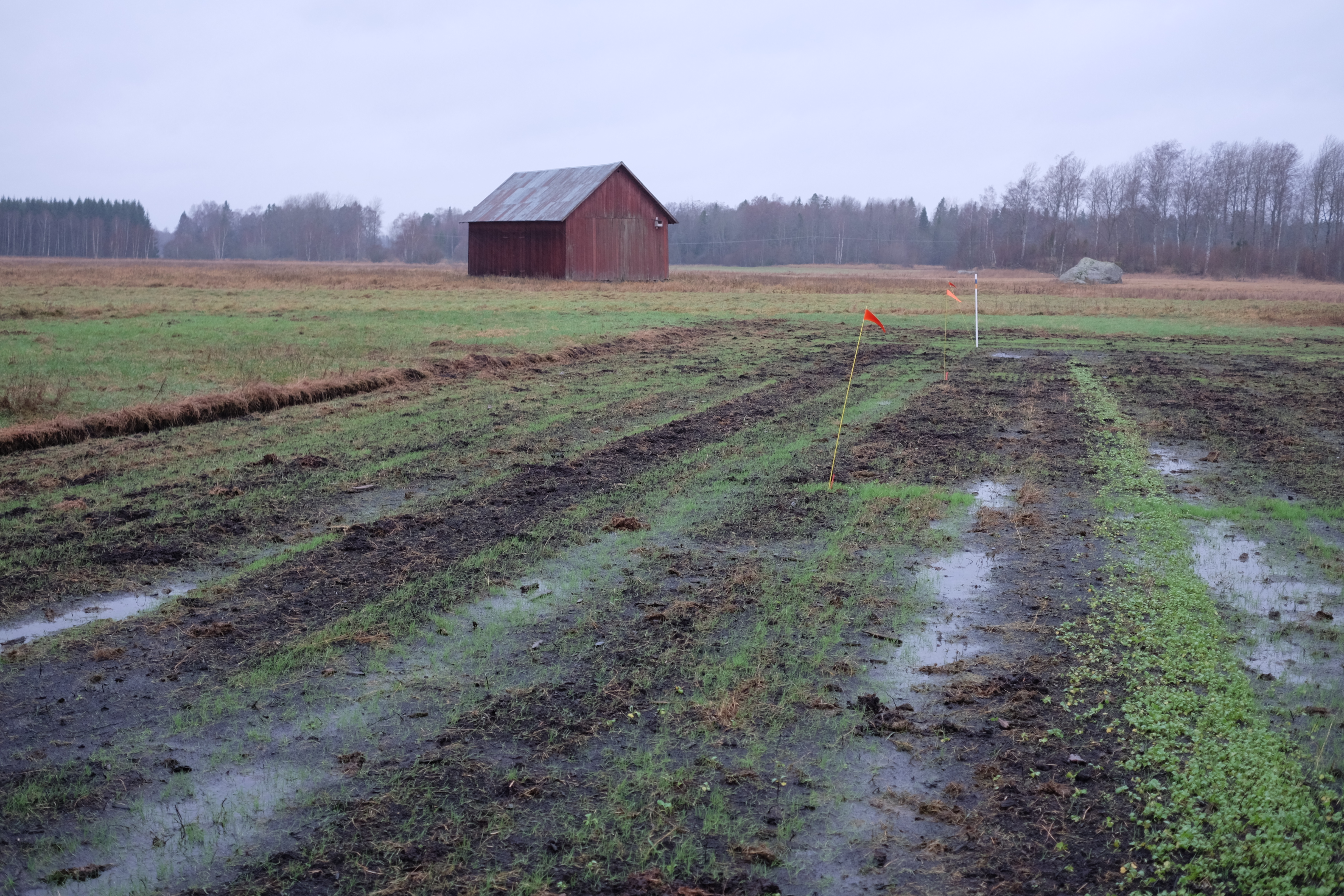 Broddbo fältförsök