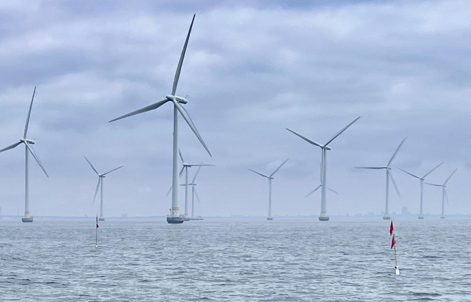 the Lillgrund offshore wind farm in the Sound