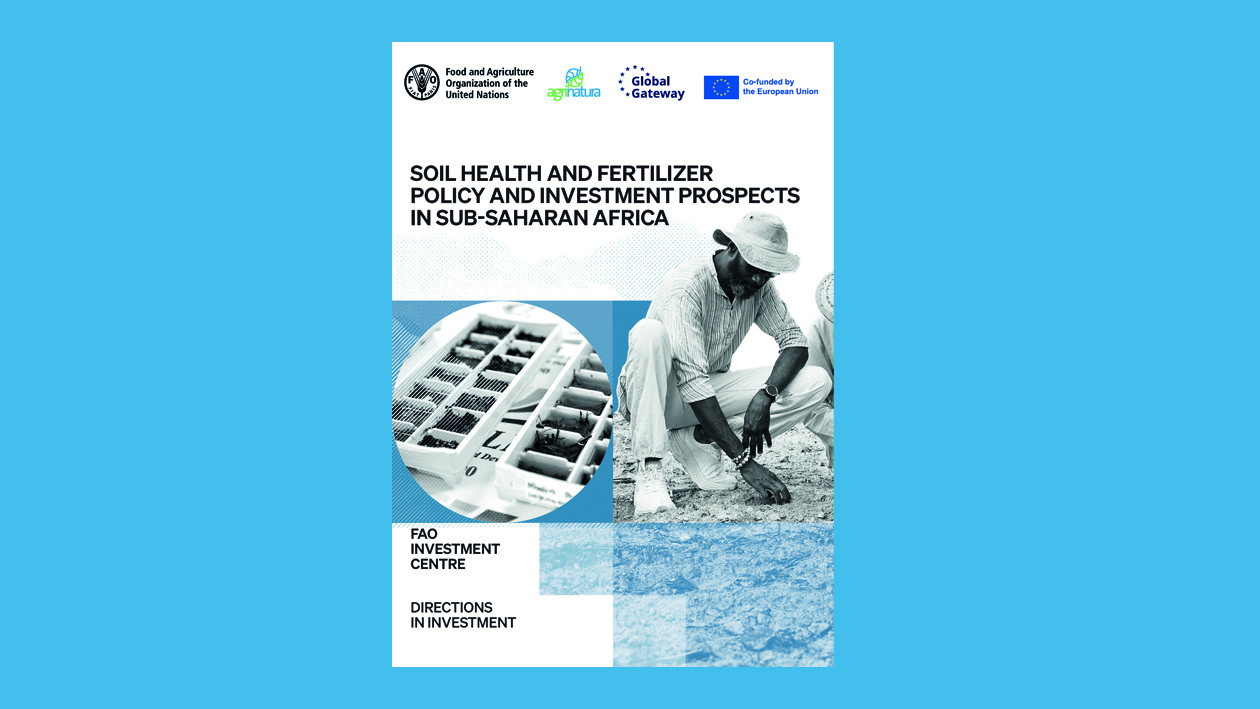 The technical report –Soil health and fertilizer: Policy and investment prospects in sub-Saharan Africa  by FAO and Agrinatura funded by the European Union.
