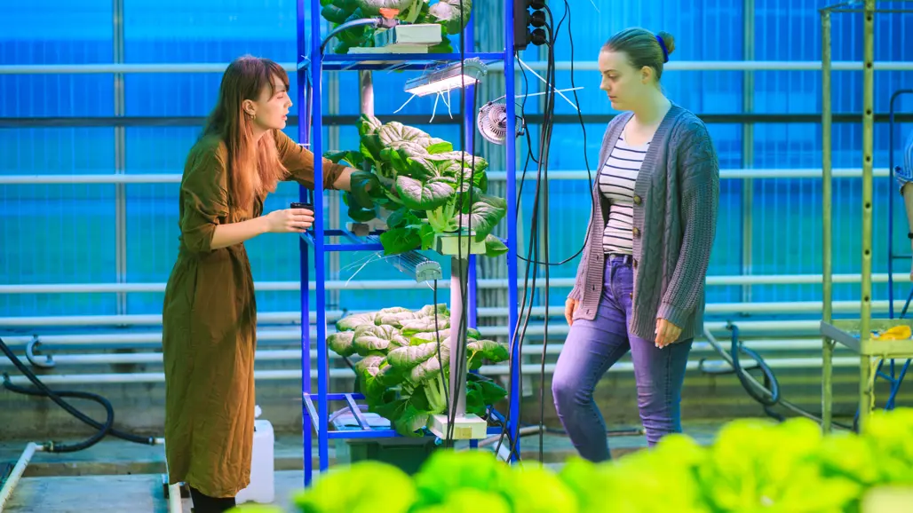 Studenter med gröna växter i ett laboratorium med blåaktig belysning. Foto.