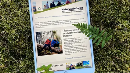 Läsplatta med nyhetsbrevet Naturvägledaren