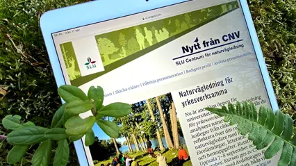 Läsplatta med nyhetsbrevet Nytt från CNV