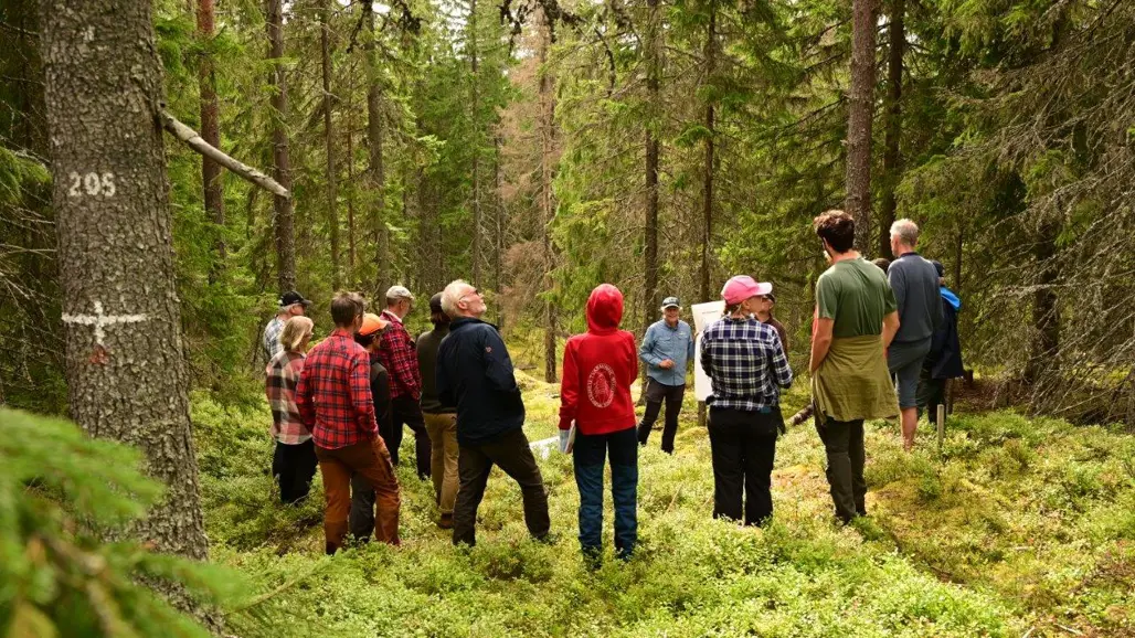 People gathered around a lecturer out in the forest