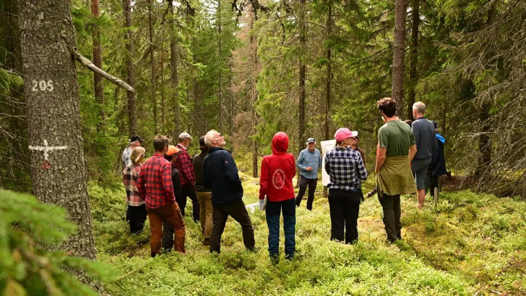 People gathered around a lecturer out in the forest