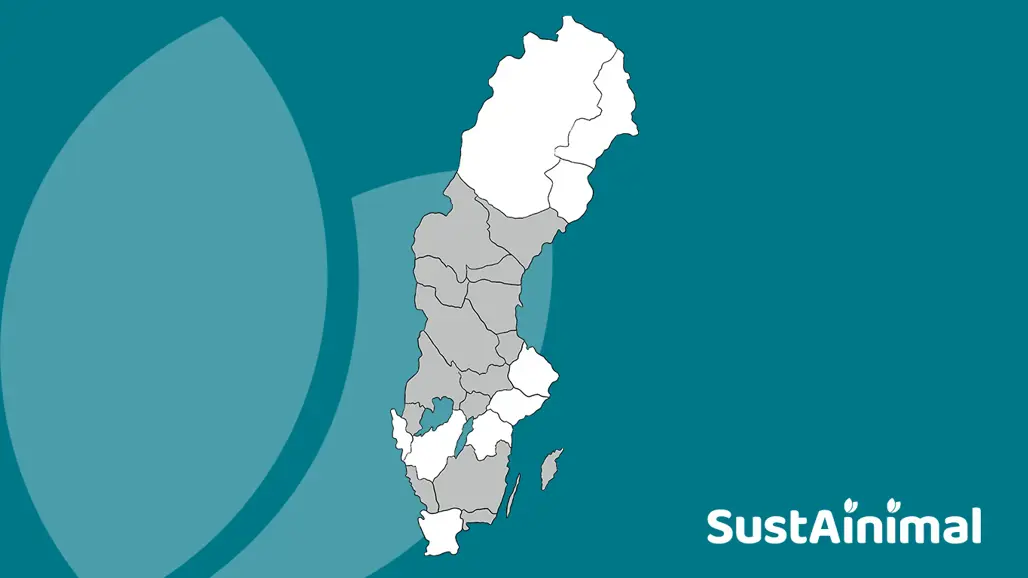Sverigekarta mot blå bakgrund. Vita områden markerar de olika noderna i norr, väst, öst och syd.