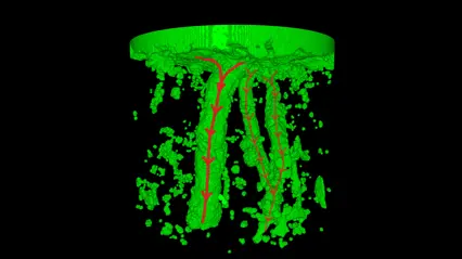 System with macropores
