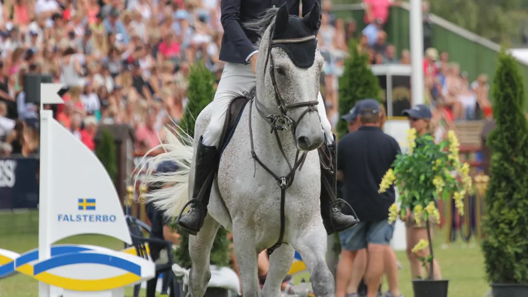 Häst som galopperar på hopptävling under Falsterbo horse show.