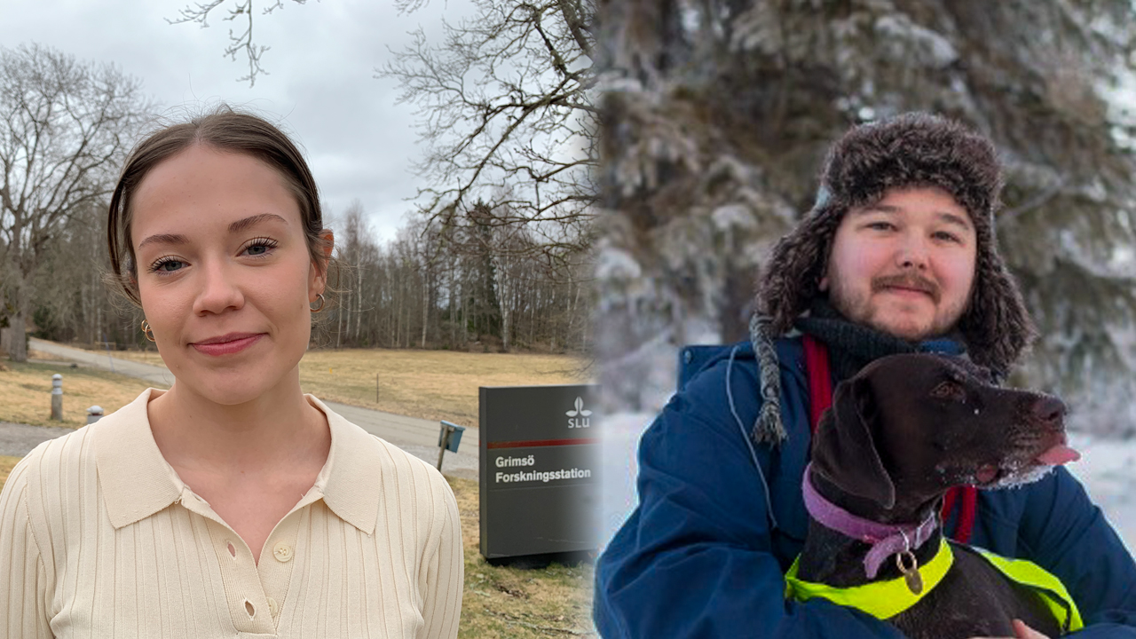 Delad bild med två porträtt. Till vänster står en person utomhus nära en skylt med texten ‘Grimsö forskningsstation, SLU’, med träd och öppet landskap i bakgrunden. Till höger står en person i vinterkläder i snöig skogsmiljö och håller en mörk hund som bär ett reflex- eller varselhalsband. Foto.