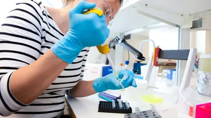 Arbete i laboratorium, pipettering.