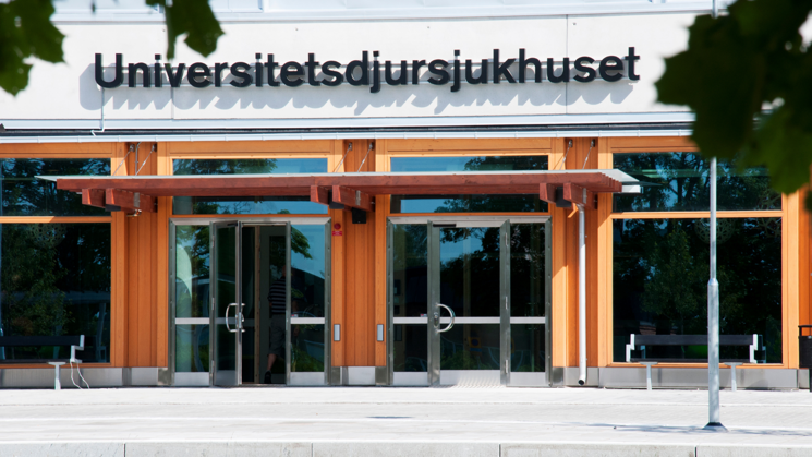 Picture of a white building with large doors. Above the doors is a sign that reads: Universitetsdjursjukhuset (In English: University Animal Hospital).