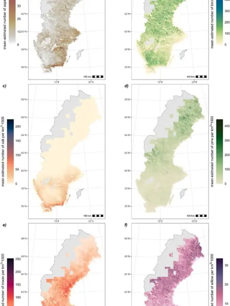 Maps of tree species. Photo.