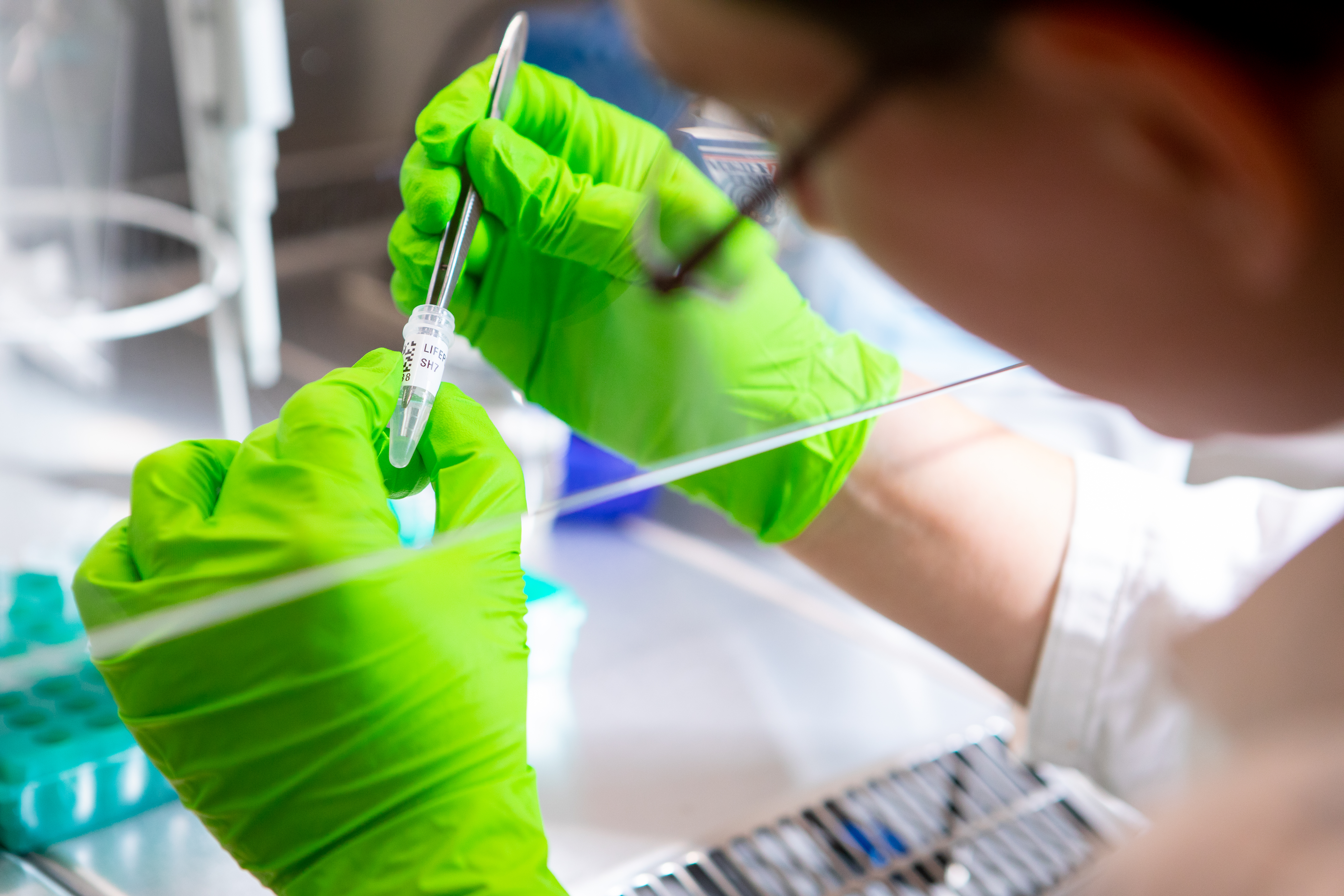 Researcher handling a sample